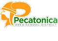 Pecatonica Area School District